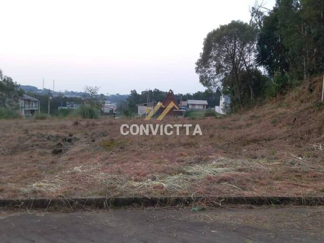 Venda em Diamantino - Caxias do Sul