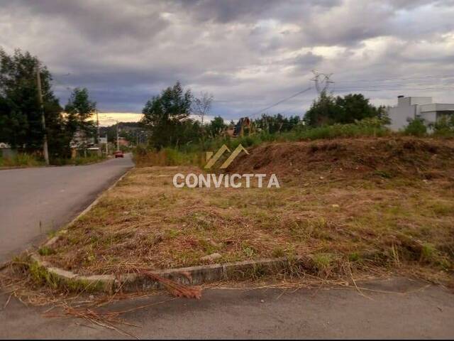 Área para Venda em Caxias do Sul - 4