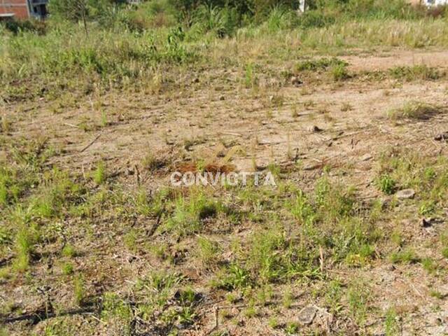 Área para Venda em Caxias do Sul - 5