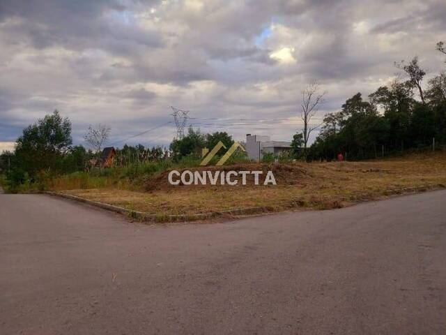 Área para Venda em Caxias do Sul - 4