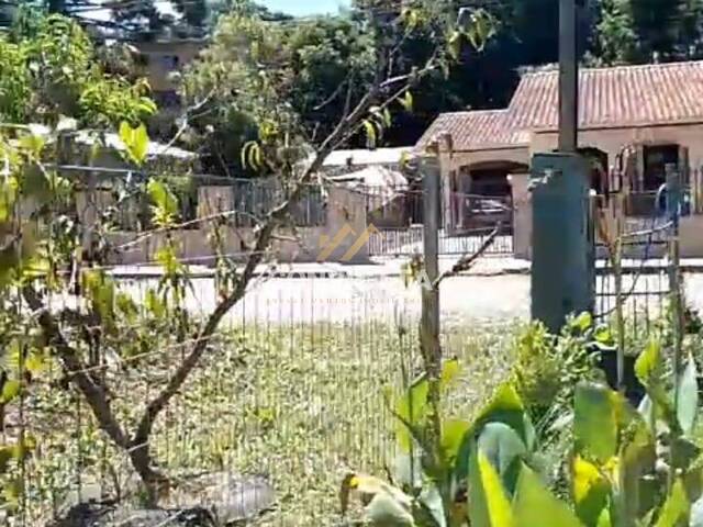 Chácara para Venda em Caxias do Sul - 2