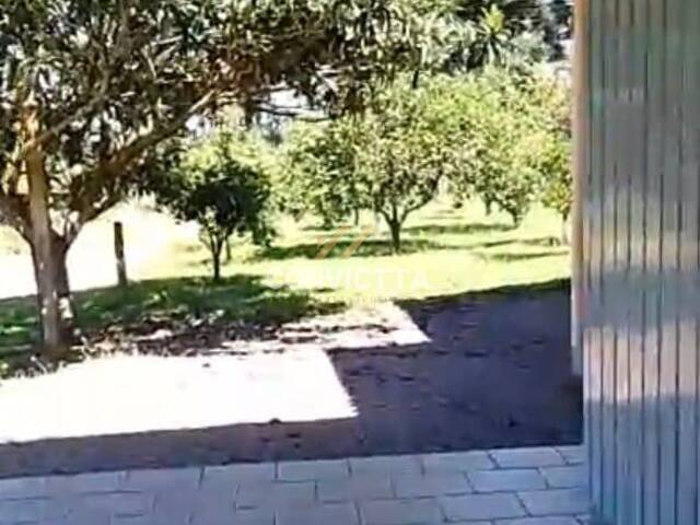 Chácara para Venda em Caxias do Sul - 4