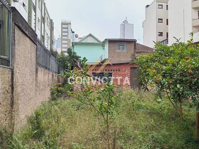 Área para Venda em Caxias do Sul - 3