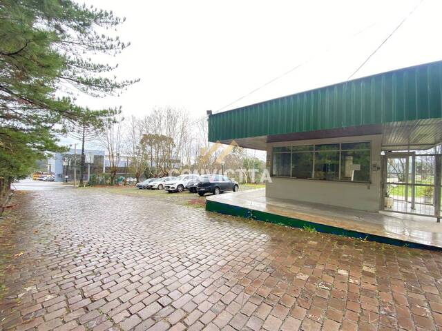#1663 - Sala para Locação em Caxias do Sul - RS - 2