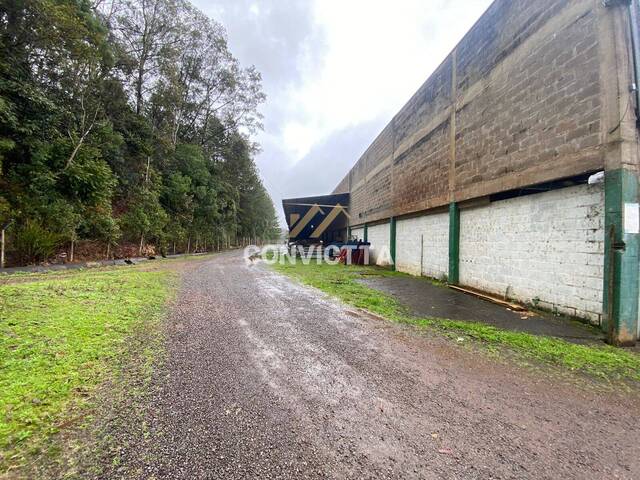 Sala para Locação em Caxias do Sul - 4