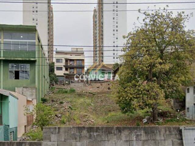 #1681 - Área para Venda em Caxias do Sul - RS - 2