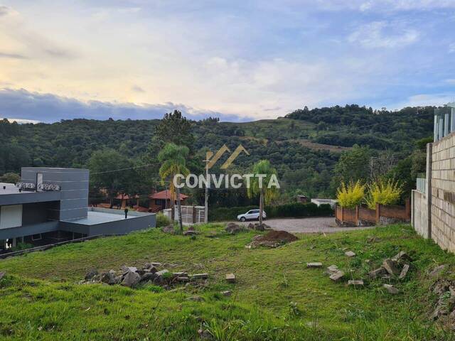 Área para Venda em Caxias do Sul - 4