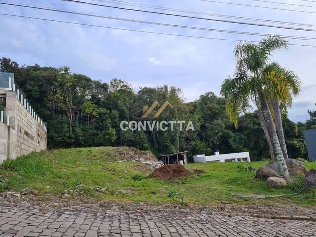 Venda em Vinhedos - Caxias do Sul