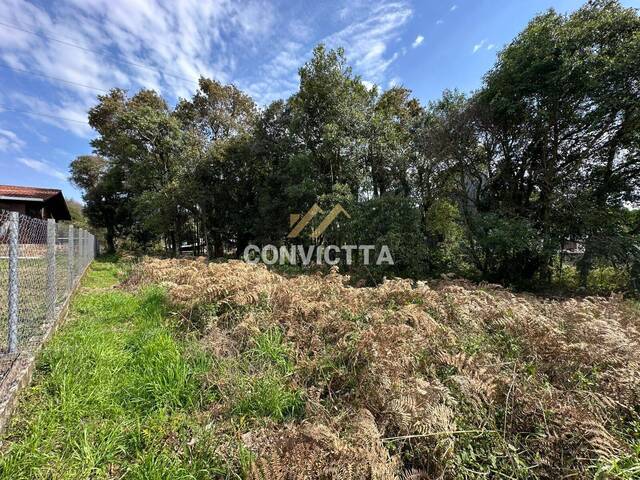 Área para Venda em Caxias do Sul - 2