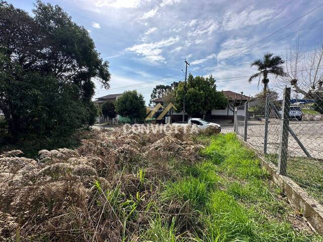 Área para Venda em Caxias do Sul - 3