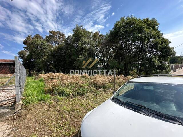 Área para Venda em Caxias do Sul - 4
