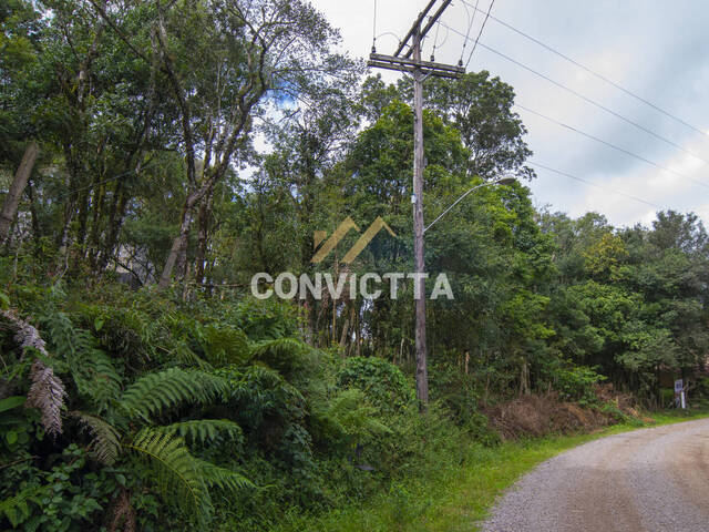 Área para Venda em Caxias do Sul - 2