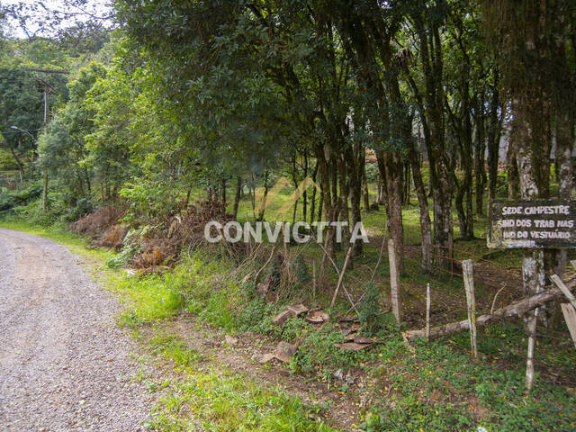 Área para Venda em Caxias do Sul - 3