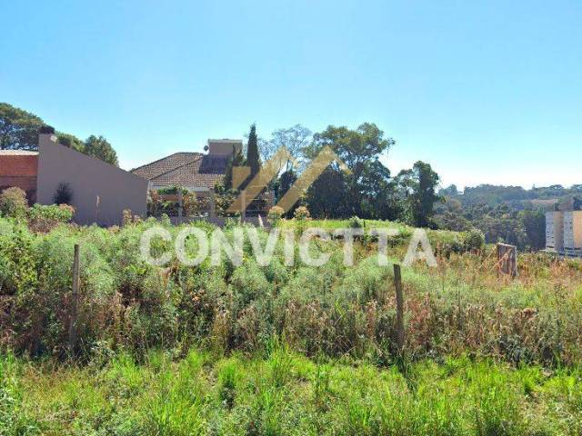 Área para Venda em Caxias do Sul - 3